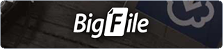 BigFile Premium 180 Days