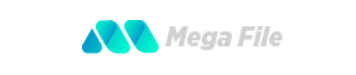 Megafile Premium 365 days